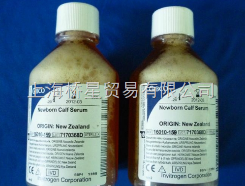 16010-159 新西兰新生牛血清/新西兰小牛血清 gibco 500ml