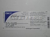 1640培养基（粉状） invitrogen GIBCO 31800-022 10×1L