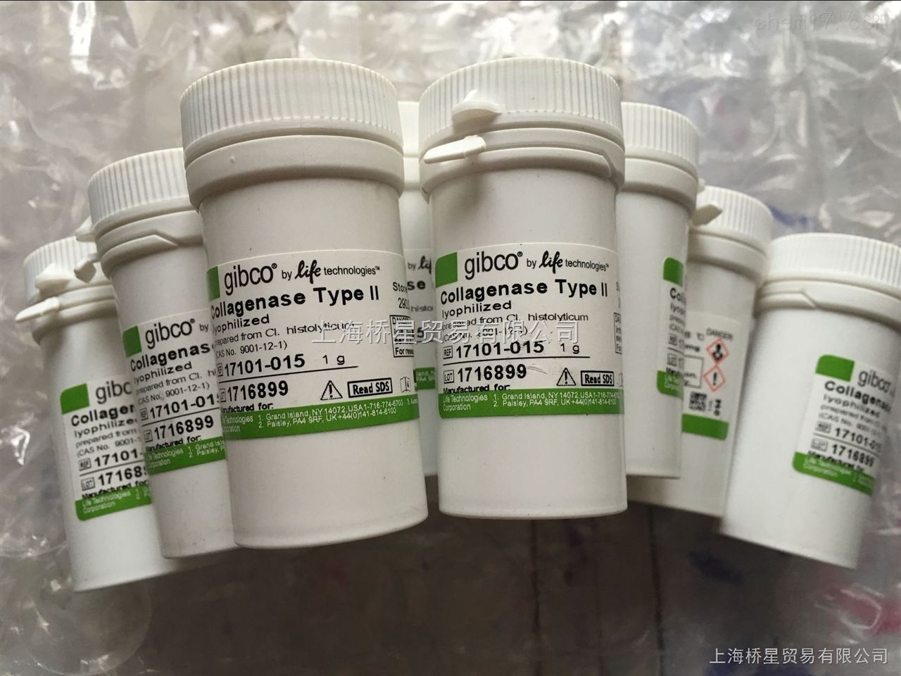 国产自营 亲和层析柱10ml （1.5*8） DS0110 2489个