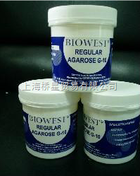 西班牙 琼脂糖 Agarose 100g