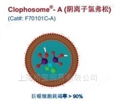 巨噬细胞去除剂 Clophosome 氯弗松 氯氟松